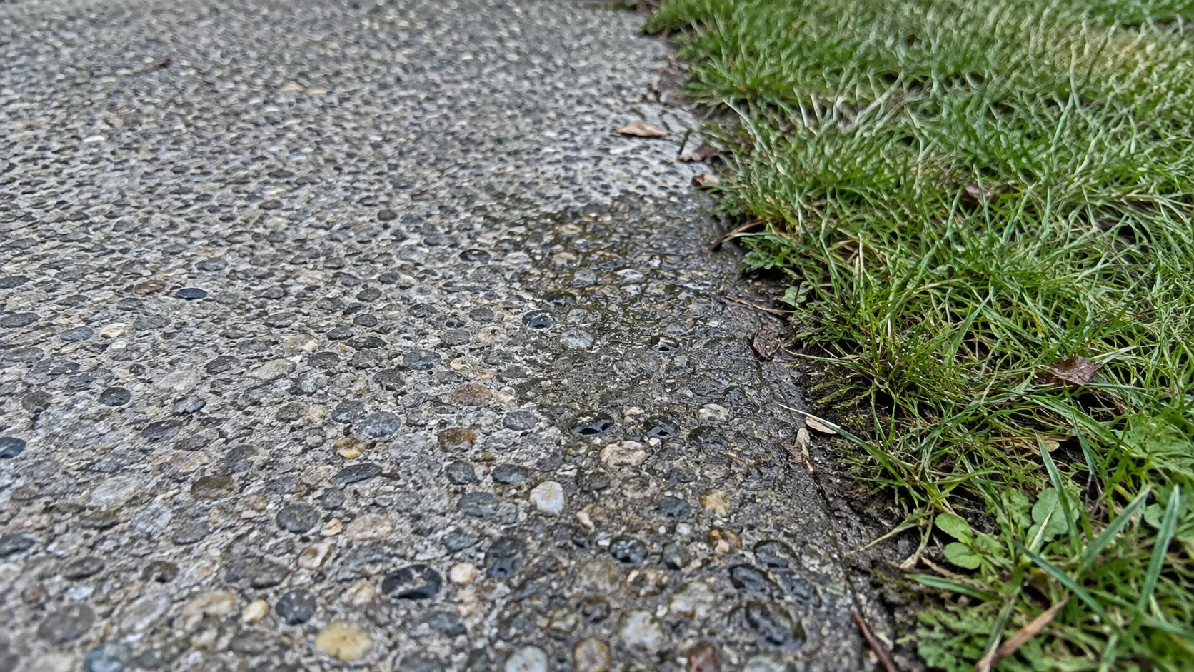 A pebbled concrete walkway edge beside a narrow strip of green grass