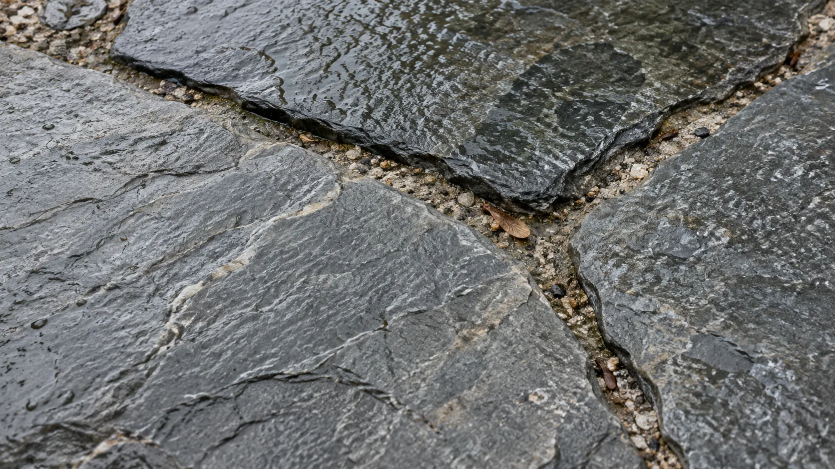 Rain-wet irregular slate flagstones with mineral veins and narrow gritty joints